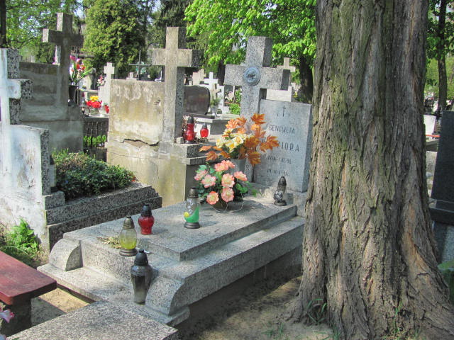 Grób Genowefa Kędziora