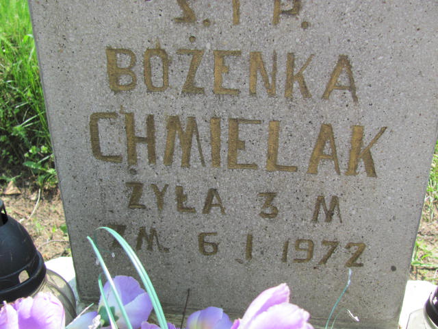 Bożena Chmielak Skierniewice - Grobonet - Wyszukiwarka osób pochowanych