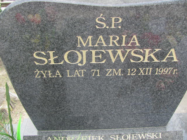 Janusz Słojewski 1954 Skierniewice - Grobonet - Wyszukiwarka osób pochowanych