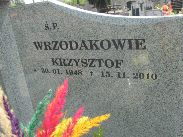 Stanisława Baczyńska 1923 Skierniewice - Grobonet - Wyszukiwarka osób pochowanych