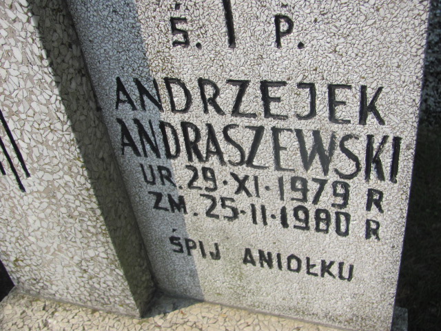 Andrzej Andraszewski 1979 Skierniewice - Grobonet - Wyszukiwarka osób pochowanych