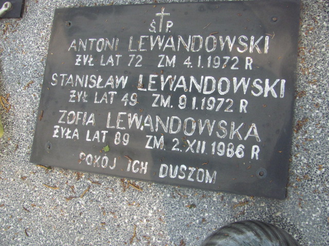 Antoni Lewandowski Skierniewice - Grobonet - Wyszukiwarka osób pochowanych