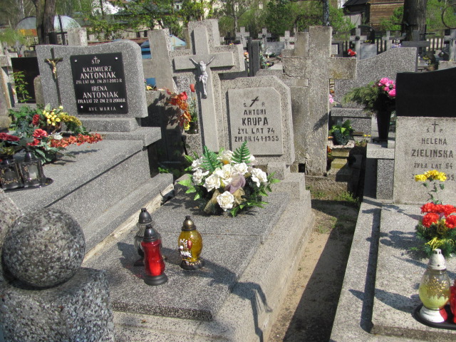 Grób Antoni Krupa