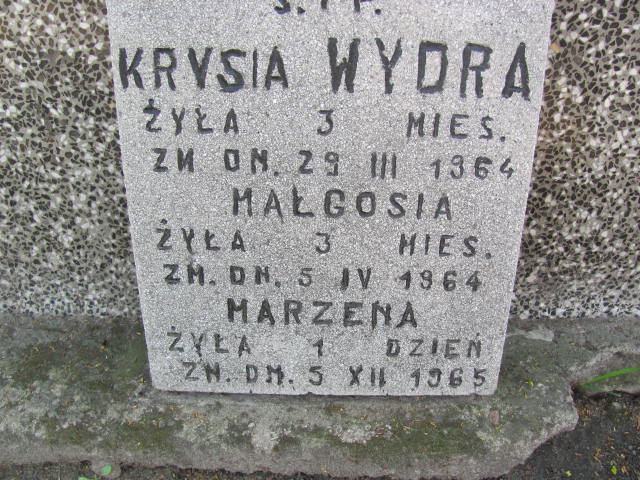 Małgorzata Wydra Skierniewice - Grobonet - Wyszukiwarka osób pochowanych